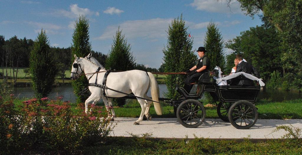 Statek Sedlecko Villa Buitenkant foto